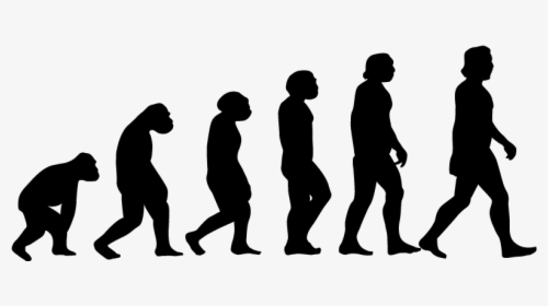Evolution Silhouette, HD Png Download, Free Download