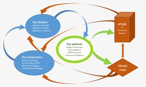 Diagram, HD Png Download, Free Download