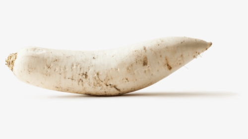 Saba Banana, HD Png Download, Free Download