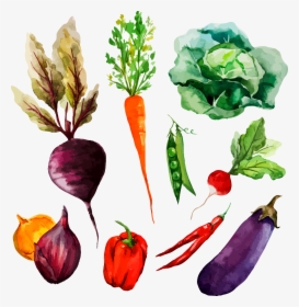 Clip Art Collection Of Free Drawing - Vegetables Drawing And Painting, HD Png Download, Free Download