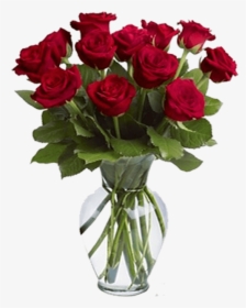 12 Red Roses In A Vase, HD Png Download, Free Download