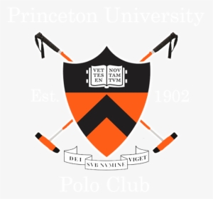 Princeton University Tiger Logo , Png Download - Princeton University Logo, Transparent Png, Free Download
