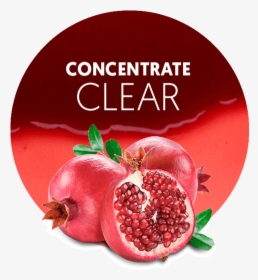 Png Pomegranate, Transparent Png, Free Download