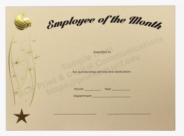 Blank Certificate Template Png, Transparent Png, Free Download