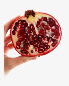 Open Pomegranate, HD Png Download, Free Download