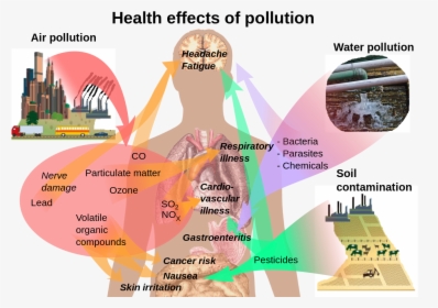 Health Effects Of Pollution, HD Png Download, Free Download