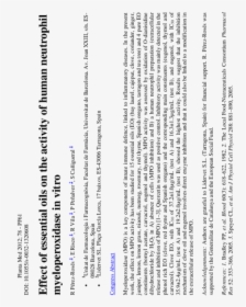 Document, HD Png Download, Free Download
