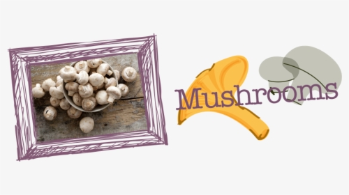 Mushrooms-2 - Champignon Mushroom, HD Png Download, Free Download
