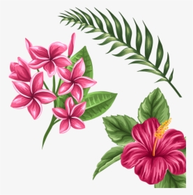 Hd A Ca F Orig Png Flowers - Transparent Tropical Flower Drawing, Png Download, Free Download