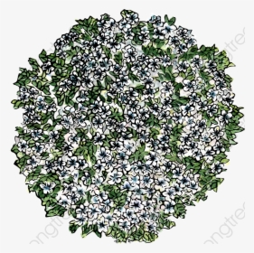 Green Leaf Flower Top View - Flowers Top View Png, Transparent Png, Free Download