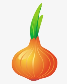 Onion, HD Png Download, Free Download