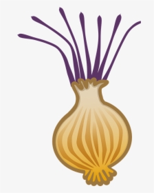 Onion, Allium, Brown Onion, Bulb Onion, Cooking - Bawang Goreng Vector, HD Png Download, Free Download
