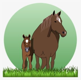 Horse, Cub, Horse With Cub, Horses, Animal, Grass - Horse And Foal Clipart, HD Png Download, Free Download