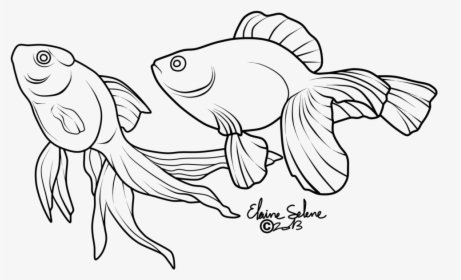 Gold Drawing At Getdrawings - Drawings Of Cartoon Gold Fish, HD Png Download, Free Download