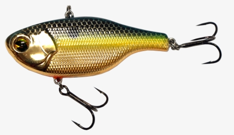 Fish, HD Png Download, Free Download