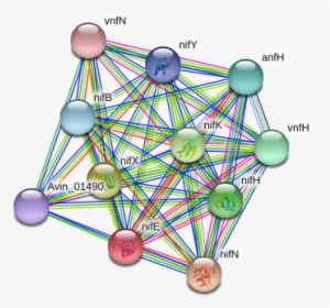 Nife Protein - Circle, HD Png Download, Free Download