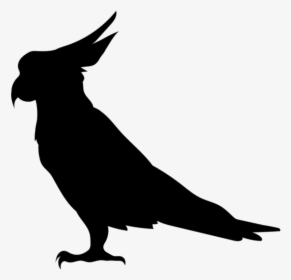 Parrot Silhouette Png Transparent Clip Art Image - Transparent Parrot Silhouette, Png Download, Free Download