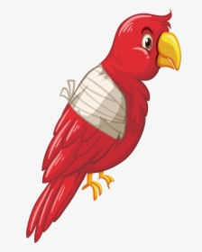 Vector Parrot Clipart - Injured Bird Clipart, HD Png Download, Free Download