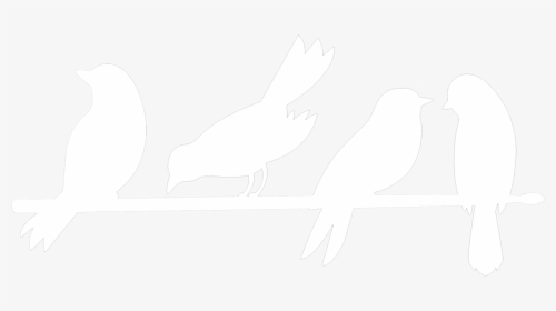 My Friend The Bird - Parrot, HD Png Download, Free Download