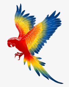 Macaw Bird Clipart Free Parrot And Macaw Clipart Macaw - Clipart Macaw Png, Transparent Png, Free Download