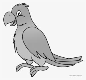 Grayscale Animal Free Black - Parakeet Clipart, HD Png Download, Free Download