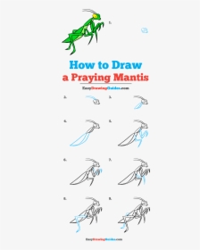 How To Draw Praying Mantis - Drawing Praying Mantis Step By Step, HD Png Download, Free Download