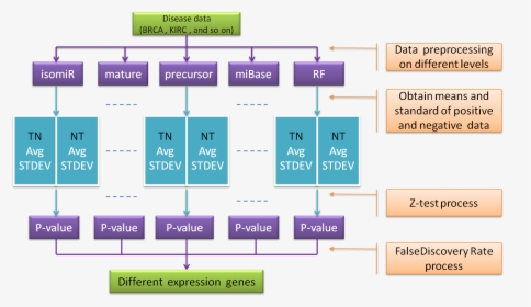 Diagram, HD Png Download, Free Download