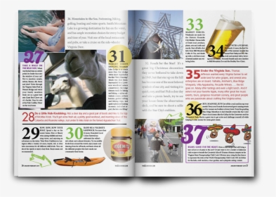 Flyer, HD Png Download, Free Download