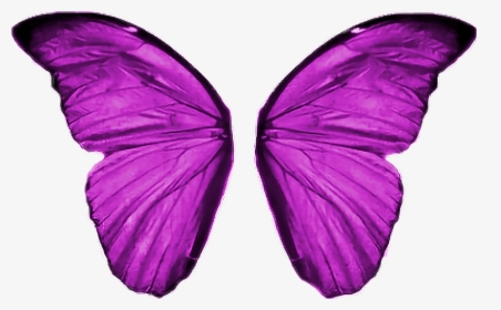 Transparent Borboleta Png - Asas De Borboleta Png, Png Download, Free Download