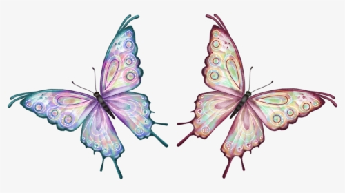 Butterfly Animated Gif Png, Transparent Png, Free Download