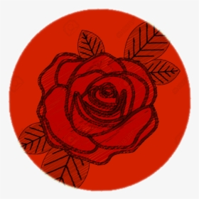 Circulo Rojo Png - Drawing Of Red Rose, Transparent Png, Free Download
