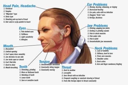 Dehydration Headache Pain Location , Png Download - Teeth Grinding Symptoms, Transparent Png, Free Download