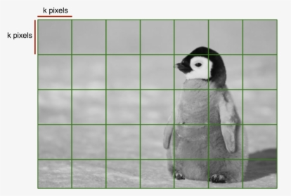 Grid - Baby Penguin In Snow, HD Png Download, Free Download