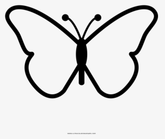 Butterfly Coloring Page - Butterfly Design Drawing Easy, HD Png Download, Free Download