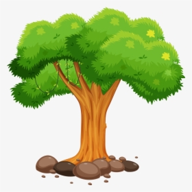 Tree - Cartoon Image Of Tree, HD Png Download, Free Download