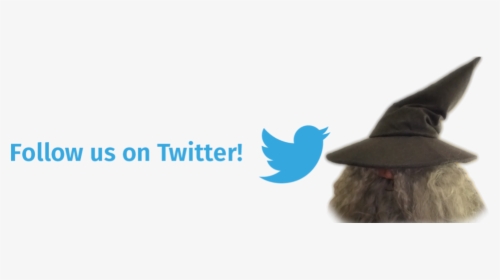 Follow On Twitter - Duck, HD Png Download, Free Download