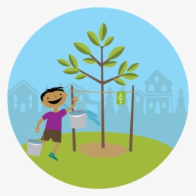 Congratulations On Planting A New Tree - Plant A Tree Png, Transparent Png, Free Download