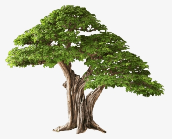 Jesus Hanging On A Tree, HD Png Download, Free Download