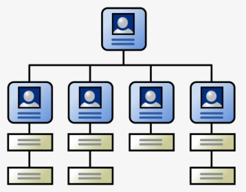 Organizational Chart In Classroom, HD Png Download, Free Download