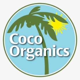 Transparent Coco Logo Png - Cici's Pizza, Png Download, Free Download