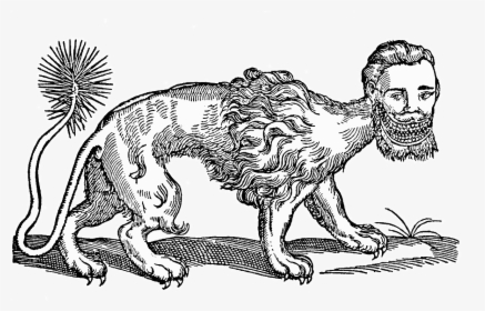 Edward Topsell Manticore, HD Png Download, Free Download
