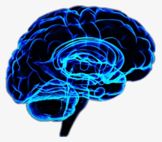#cerebro - Brain Transparent Background Huntington Disease, HD Png Download, Free Download