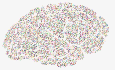 Mitos Y Verdades Sobre El Cerebro - Brain Eegs, HD Png Download, Free Download