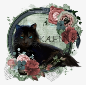 Black Cat, HD Png Download, Free Download