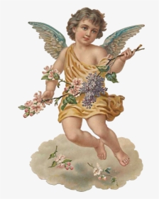 #cherub #angel #lilangel #aesthetic #softaesthetic - Angel Aesthetic Png, Transparent Png, Free Download
