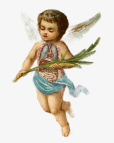 Baby Boy Angels , Png Download - Angel Aesthetic Gif Transparent, Png Download, Free Download