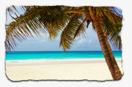 Colony Beach Florida, HD Png Download, Free Download