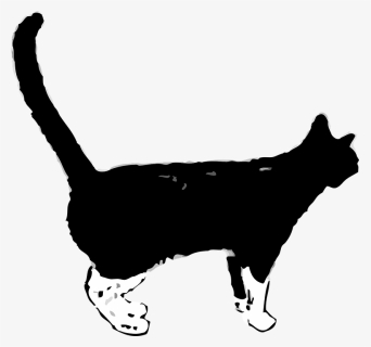 Black Cat White Paws Art, HD Png Download, Free Download