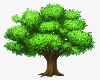 Pin Rainforest Clipart Narra - Tree Clipart, HD Png Download, Free Download