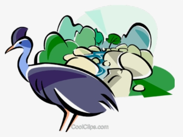 Cameleon Clipart Rainforest Animal - Rainforest Clip Art, HD Png Download, Free Download